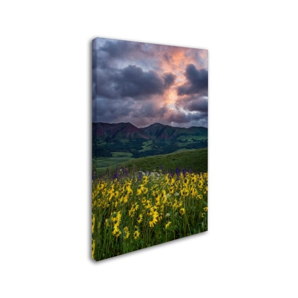 Michael Blanchette Photography 'Awakening' Canvas Art,16x24